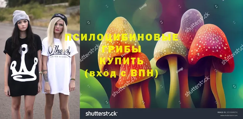 Галлюциногенные грибы Magic Shrooms  Луга 